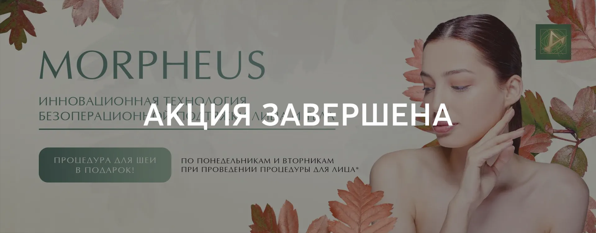 morpheus2 баннер