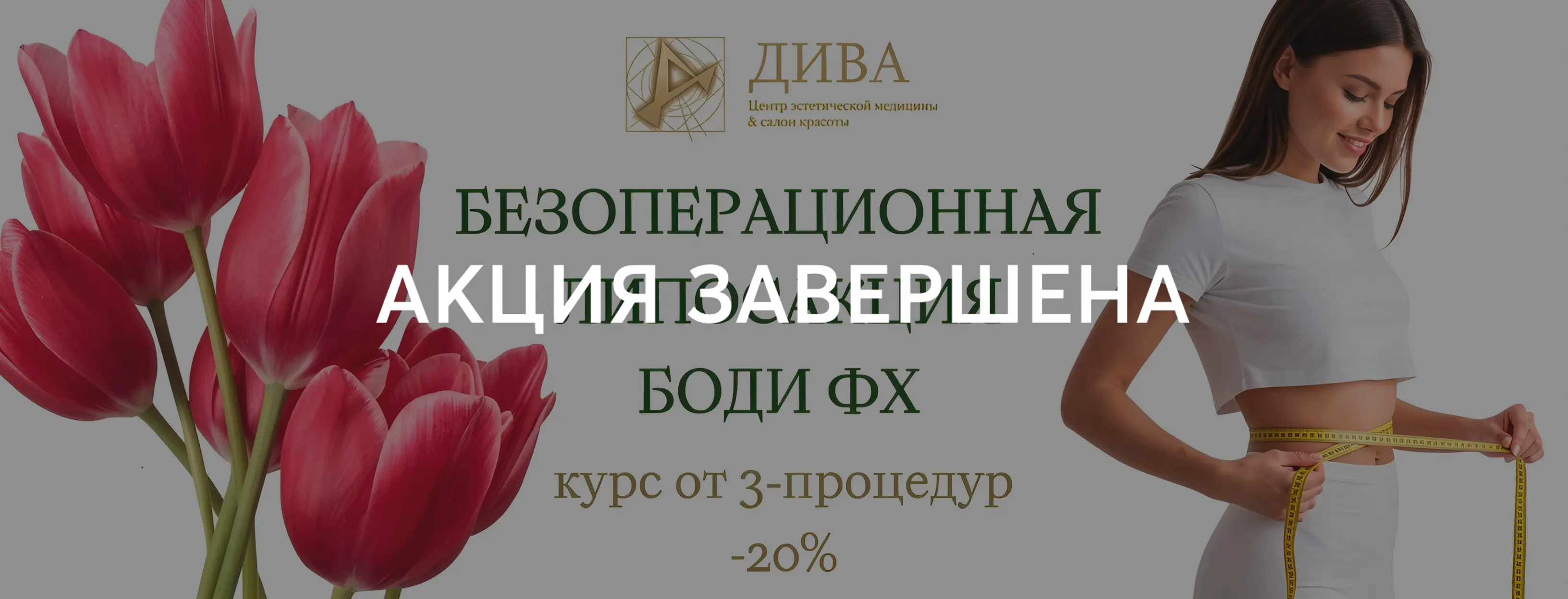 боди_ФХ