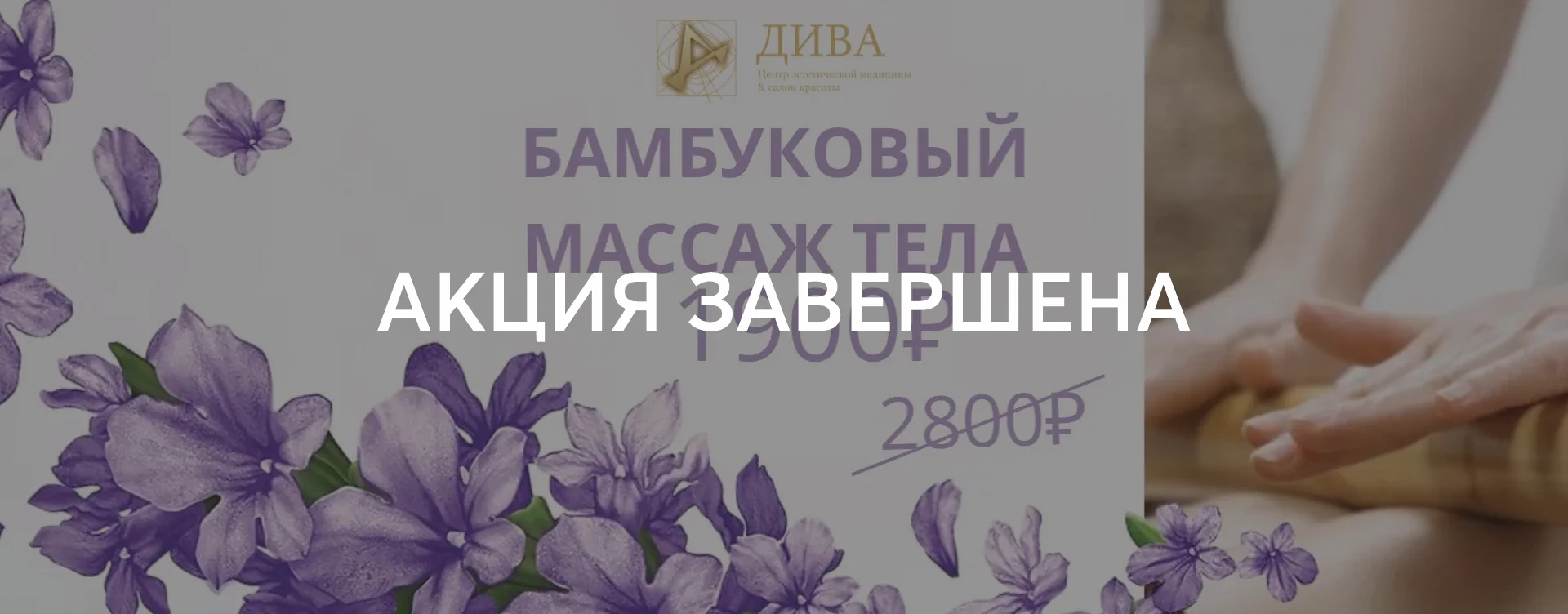 боди_ФХ